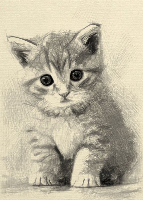 cat drawing simple, pencil drawing, cat drawing face, cat drawing reference, cats drawing reference, cat images, cat pictures, cat drawing tutorial, cat drawing ideas, cute cat, cat drawings simple, cat hand drawing, cat drawing realistic, cat eye drawing, cat drawing sketches, drawing cat Realistic Cat Drawing, Art Du Croquis, Cats Art Drawing, Cat Coloring Book, Výtvarné Reference, Hand Drawn Portraits, Lily Painting, Custom Cat Portrait, Cute Cat Drawing