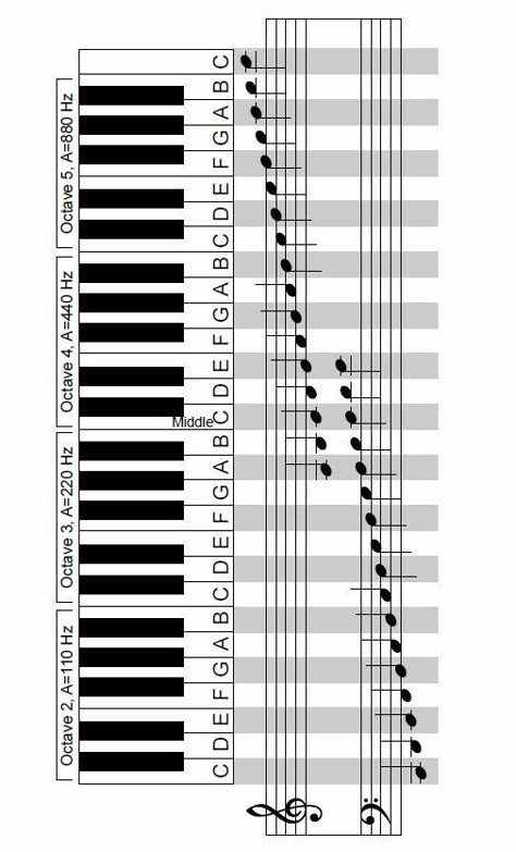 Piano Chords Chart, Learning Piano, Piano Music Lessons, Teaching Piano, Homeschool Music, Not Musik, Learning Music, Music Chords, Reading Music