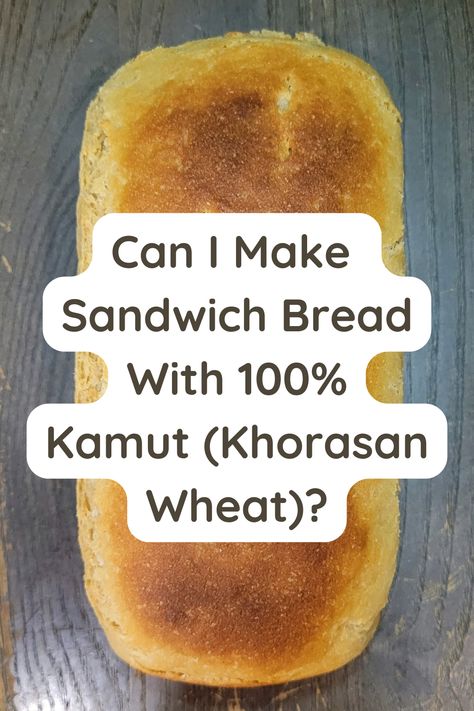 a whole loaf of Kamut bread sitting on a wooden table. Kamut Rolls, Kamut Sourdough Starter, Kamut Bread, Kamut Sourdough, Kamut Bread Recipes, Kamut Flour Bread, Kamut Recipes, Khorasan Flour Recipes, Kamut Muffins