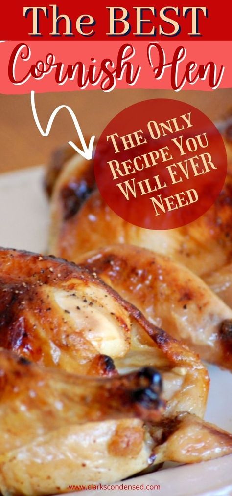 Cornish Hen Recipe Easy, Cornish Hen Recipes Oven, Baked Cornish Hens, Cooking Cornish Hens, Game Hen Recipes, Cornish Game Hen Recipes, Roasted Cornish Hen, Cornish Game Hens, Cornish Hen Recipe