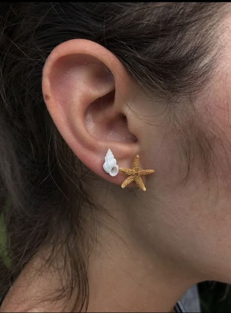 Wentletrap Shell, Starfish Earrings, Nickel Free Earrings, Jewelry Lookbook, Shell Jewelry, Shell Earrings, Girly Jewelry, Dream Jewelry, Jewelry Inspo