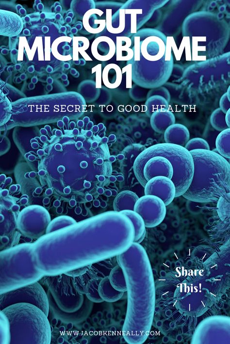 Gut microbiome 101. What is the gut microbiome, what affects the gut microbiome, and how to support the health of your gut microbiome. This detailed article backed by science will talk about how you can improve your health, the gut brain connection, how fermented foods can support the gut, how to restore the health of your gut, and how gut health relates to autoimmune disease or other health problems. #guthealth #microbiome Gut Brain Connection, Microbiome Diet, Gut Healing Recipes, Brain Connections, Gut Brain, Health Podcast, Gut Healing, Gut Microbiome, Hormone Health