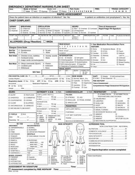 Costum Nursing Head To Toe Assessment Template Doc Sample Nursing Respiratory Assessment, Nurse Practitioner Charting, Full Body Assessment Nursing, Nursing Assessment Cheat Sheet, Nursing Documentation, Assessment Checklist, Nurse Report Sheet, Nursing Cheat, Nursing Information