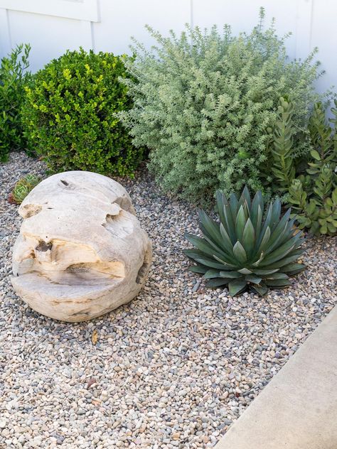 Xeriscape Landscaping, Oasis Backyard, Arizona Backyard, California Backyard, Gravel Landscaping, Side Yard Landscaping, Backyard Oasis Ideas, Backyard Beach, Mediterranean Landscaping