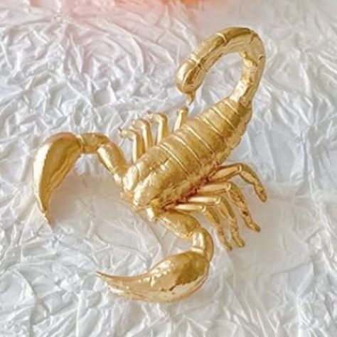 Scorpion Gold Sculpture The Mini Scorpion Figurine Measures About 2"L X 2.4"W X 1.7"H, And The Weight Is: 2.2 Ounces. This Mini Gold Sculpture Is Just Right Size For Your Vanity And Office Table. Urban Outfitters Brand New, Repackaged, Without Original Tags. Fast Shipping! Bundle For A Discount: Add 3 Or More Items To Your Bundle And 15% Off Will Be Automatically Applied! Figurine, Urban Outfitters Art, Gold Scorpion, Gold Sculpture, Sculpture Home Decor, Strawberry Decorations, Gold Home Decor, Mini Gold, Neutral Eyeshadow