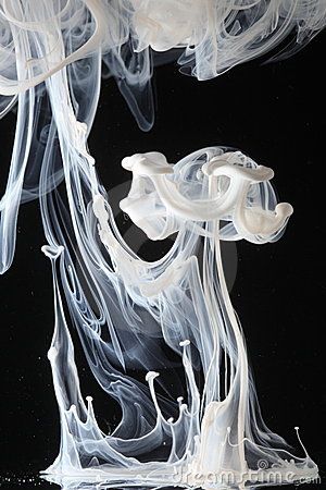 Wispy swirls created by white ink dispersing in water against a black background. High Speed Photography, Ink In Water, Water Photography, Gcse Art, Stock Photography Free, Abstract Photography, Photography Pictures, New Wall, Fluid Art