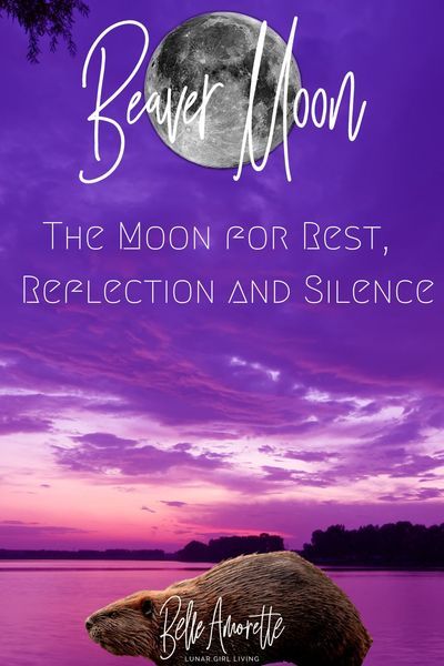 Beaver Full Moon, Moon Taurus, November Full Moon, Beaver Moon, Frost Moon, Full Moon Spells, Witchy Business, Moon Activities, Lunar Witch