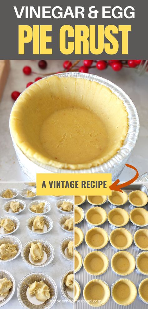 Take your baking skills to new heights with this incredible vinegar and egg pie crust recipe. This secret gem will elevate your pies, providing a flaky, tender, and flavorful crust that will leave everyone craving more! Yields 2 crusts. All Shortening Pie Crust, Pie Crust Using Vinegar And Egg, Pie Crust With Egg And Vinegar Recipe, Egg And Vinegar Pie Crust, Never Fail Pie Crust Recipe Vinegar, Pie Crust Vinegar, No Fail Pie Crust Recipe Vinegar, Pie Crust Recipe With Egg And Vinegar, Vinegar Pie Crust