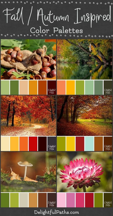 fall autumn inspired color palettes Color Palette From Image, September Colors, Color Catalog, Palette Design, Color Schemes Colour Palettes, Palette Ideas, Autumn Inspired, 카드 디자인, Fall Color Palette