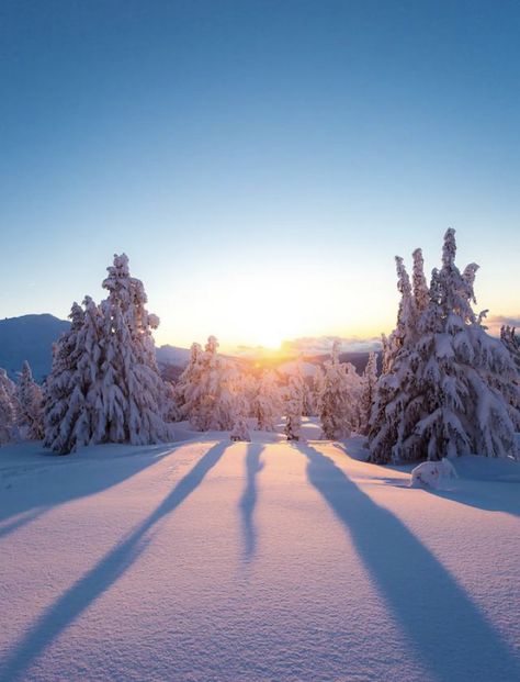 Snow Beautiful Resorts, Holiday Tips, Snow Covered Trees, Snow Girl, Vacation Inspiration, Winter Photo, Winter Scenery, Amazing Travel, Tourist Spots