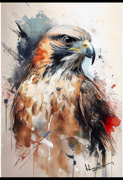 Abstract Wildlife Art, Hawk Painting, Hawk Artwork, Falcon Painting, Eagle Painting Watercolor, Hawks Painting, Falcon Watercolor, Hawk Painting Acrylic, Hawk Watercolor Painting