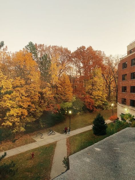 University Of Rochester Aesthetic, Dorm Room University, Fall View, University Aesthetic, University Of Rochester, Susan B Anthony, Go To College, Life Vision, College Life