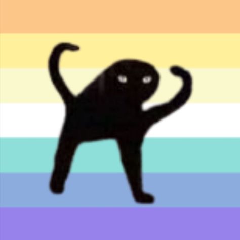 Non Binary Gender, Gender Pronouns, Profile Picture, Flag, Memes