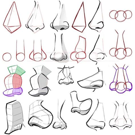 Cartoon Noses, Mitch Leeuwe, Patreon Art, رسم كاريكاتير, Nose Drawing, Drawing Studies, Caricature Drawing, Anatomy Drawing, Anatomy Art