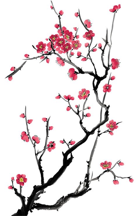 Chinese Cherry Blossom, Cherry Blossom Drawing, China Flowers, Blossom Painting, Cherry Blossom Painting, Chinese Art Painting, Draw Flowers, Png Flower, Chinese Brush Painting