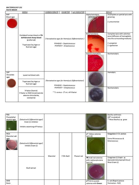 University of Santo Tomas Faculty of Pharmacy Medical Technology Department Microbiology - Bacteriology Summarized by Mary Christelle G. Aquitania A document that summarizes routinely used plate media for culturing bacteria in Microbiology, especially Staphylococcus, Streptococcus, and Enterococcus. Inclusions of different enrichment and selective substances are indicated for each culture media. Legend: Check mark indicates positive result; otherwise, negative result/inhibitor. [e.g. ... Culture Media Microbiology Notes, Culture Media Microbiology, Microbiology Humor, Microbiology Bacteria, Bacteria Microbiology, Bacterial Culture, Bacteria Culture, Medical Microbiology, Medical Laboratory Science Student