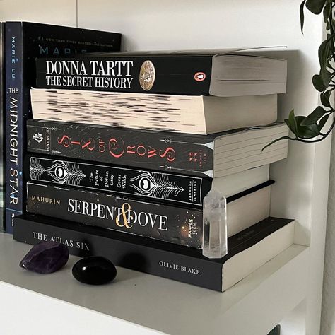 raya on Instagram: “shelf, life, + #whatthisweek <3 (thank you for the tag @xsarahreads!!) ᴡʜᴀᴛ ɪ ᴀᴍ... 📖 𝐫𝐞𝐚𝐝𝐢𝐧𝐠 — the official answer? dance of thieves…” Aesthetic Book Stack, Dance Of Thieves, The Secret History Aesthetic, Reader Girl, Epic Fantasy Books, Crow Books, Reading Motivation, Beautiful Butterfly Photography, Dream Library