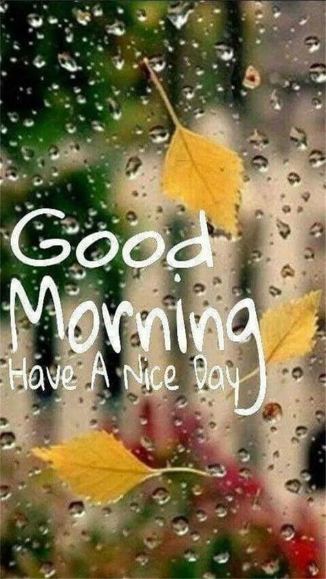 Rainy Morning Quotes, Rainy Good Morning, Good Morning Rainy Day, Rainy Day Quotes, Good Morning For Him, Funny Good Morning, Funny Good Morning Images, Good Morning Motivation, Good Morning Quotes For Him