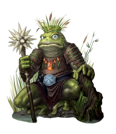 Swamp Boggard King - Pathfinder PFRPG DND D&D d20 fantasy Ugly Creatures, Frog People, Giant Toad, D D Monsters, Magical Powers, Frog Art, Fantasy Races, A Frog, Arte Animal