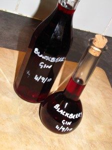 Black currant gin Gin Ideas, Homemade Booze, Gin Recipe, Liqueur Recipes, Blackberry Gin, Flavored Alcohol, Raspberry Gin, Blackberry Picking, Homemade Alcohol