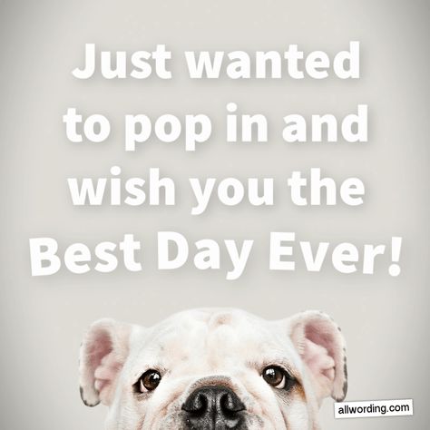 Just wanted to pop in and wish you the Best Day Ever! Elf Sayings, Lovely Day Quotes, Good Morning And Coffee, Hi Meme, Morning And Coffee, Nice Things To Say, Beautiful Day Quotes, Great Day Quotes, Italy Life