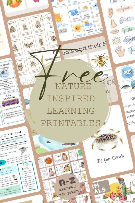 to help children learn about the natural world, including plants, animals, and the #Montessori #Preschool_Homeschool_Free_Printable #Free_Nature_Journal_Printables #Homeschool_Templates_Free_Printables Printables For Preschoolers Free, Homeschool Templates Free Printables, Homeschool Preschool Free Printables, Nature Alphabet Letters Printable Free, Nature Based Homeschooling, Preschool Homeschool Units, Free Homeschooling Resources, Montessori Home School, Free Elementary Printables