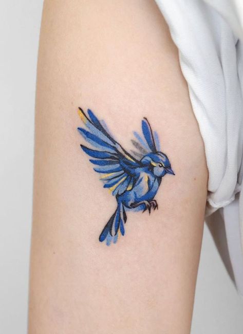 Bird Tattoos For Women Colorful, Blue Canary Tattoo, Rio Bird Tattoo, Mountain Blue Bird Tattoo, Watercolor Bluebird Tattoo, Blue Macaw Tattoo, Colored Bird Tattoos, Indigo Bunting Tattoo, Small Blue Bird Tattoos For Women