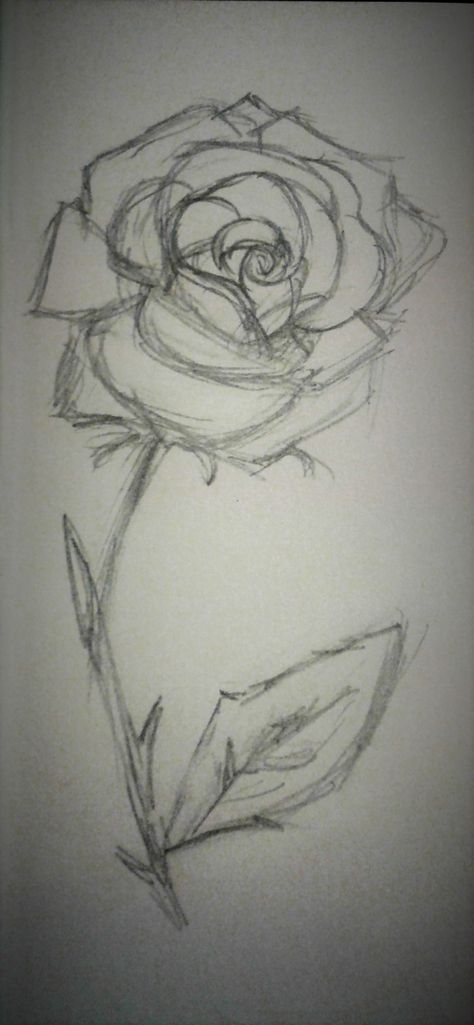 Arte Aesthetic, Rose Sketch, Art Animation, Art Idea, Art Animals, Animals Art, Arte Animal, Rose Art, Art Aesthetic