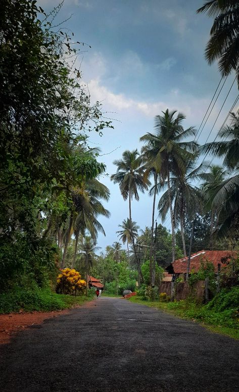 Nature Photography Trees, Photoshop Backgrounds Backdrops, Beautiful Scenery Photography, Village Photos, Best Nature Wallpapers, Watercolour Landscape, Beautiful Roads, Dslr Background Images, Nature View