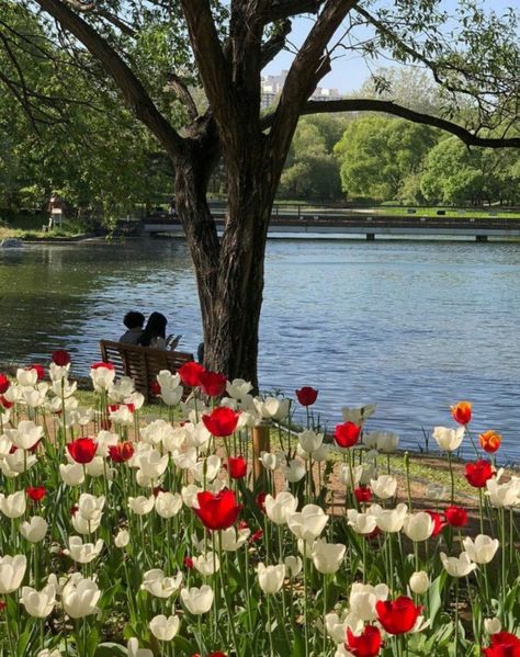 Flowers, Pastel, Nature, Lake, Twitter