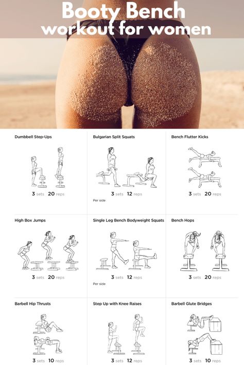 Glute Lifts Workout, An Bench Workout, Dumbbell Workout With Bench, Leg Workouts With Bench, Leg Workout Bench, Bench Gym Workout, Weight Bench Leg Workout, Beginner Bench Workout, Bench Press Workout Women Beginner