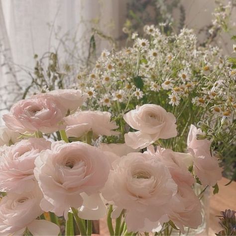 Pink And White, Pink Flowers, Glass, Flowers, Pink, White