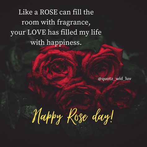 Valentine's week, Rose day quotes Rose Day Special Quotes, Rose Day Quotes For Him, Rose Day Special, Rose Day Quotes, Happy Valentines Day Pictures, Happy Valentine Day Quotes, Rose Day, Festival Wishes, Valentines Day Pictures