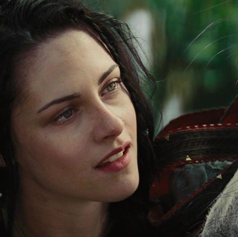 Kristen Stewart fanpage 🧚🏼‍♀️ on Instagram: “~ Blessing your feed with these Blu-ray screencaps of “Snow White and the Huntsman”! 😍 - #kristenstewart #snowwhiteandthehuntsman #bluray…” Snow White And The Huntsman Art, Kristen Stewart Snow White, Snow White And The Huntsman, Movie Screencaps, Snowwhite And The Huntsman, Kristen Stewart Movies, Dark Princess, Kristen Stewart, Blu Ray