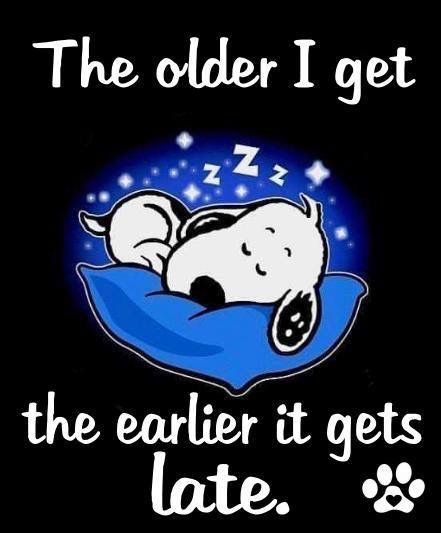 Peanuts Quotes, Charlie Brown Quotes, Peanut Gang, Snoopy Funny, Snoopy Images, Snoopy Wallpaper, Snoopy Quotes, Snoopy Pictures, Snoopy Friends