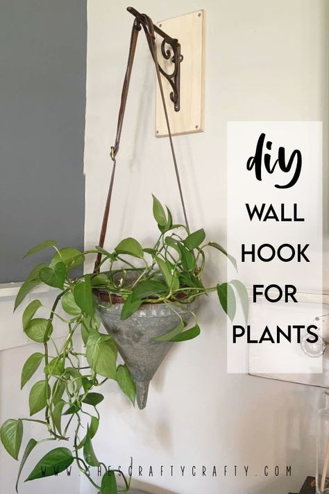 Diy Hooks For Hanging, Wall Mounted Plant, Diy Hooks, Wall Plant Hanger, Plant Hooks, Plants Wall, Using Chalk Paint, Decorative Wall Hooks, Diy Plant Hanger