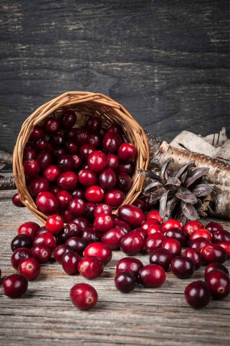 Cranberry Powder, Honey Candle, Healthy Man, Natural Fragrance Oil, Clean Fragrance, Eating Tips, Fresh Cranberries, Heart Healthy Recipes, Orange Oil