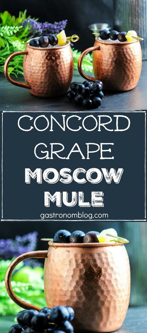 These Concord Grape Moscow Mules are a great combination of vodka, ginger beer, lime and concord grape syrup. Perfect craft cocktail for the fall. Grape Flavored Alcoholic Drinks, Grape Alcoholic Drinks, Concord Grape Cocktail, Grape Vodka Cocktails, Grape Vodka Drinks, Grape Vodka Recipes, Grape Mocktail, Grape Cocktail Recipes, Concord Grape Recipes