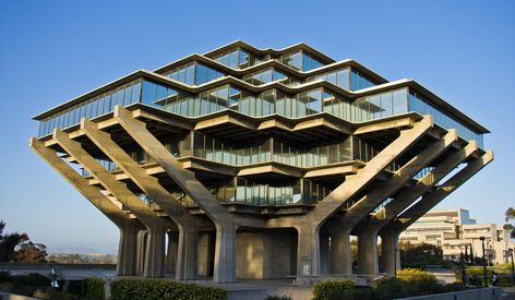 Visit the Original Lorax Tree in Dr. Seuss's San Diego | Travel | Smithsonian Magazine Geisel Library, Architecture 101, Architecture Cool, Architecture Unique, Brutalist Buildings, Best University, Amazing Buildings, Brutalist Architecture, Unique Buildings