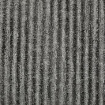 Shaw Double Take 24-in x 24-in Ditto Multi-level Loop Adhesive Carpet Tile (48-sq ft) in the Carpet Tile department at Lowes.com Carbon Paper, Indoor Carpet, Carpet Tile, Double Take, Carpet Tiles, Floor Rugs, Tile, Carpet, Flooring