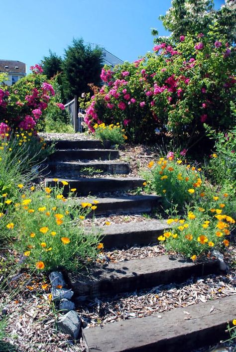 Garden Slope, Landscape Stairs, Sloped Yard, Patio Steps, Sloped Backyard, Garden Stairs, Hillside Landscaping, Outdoor Steps, Sloped Garden