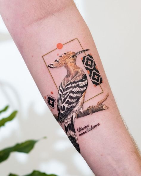 noa margalit on Instagram: ““Divine nonchalance “ hoopoe bird 🪶 for eden ! Thank you eden :) . . . . . #birdtattoo #hoopoe #hoopoebird” Hoopoe Bird Tattoo, Blue Footed Booby Bird Tattoo, Line Work Bird Tattoo, Cuckoo Bird Tattoo, Secretary Bird Tattoo, Hoopoe Tattoo, New Age Tattoo, Bird Tattoo Design, Pigeon Tattoo