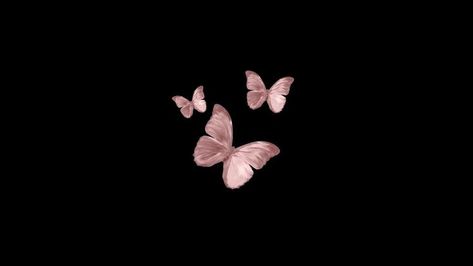 Aesthetic Pink Butterfly, Butterfly Wallpapers, Vibes Wallpaper, Wallpaper Cave, Wallpaper Designs, Aesthetic Pink, Cute Aesthetic, Pink Butterfly, Butterflies