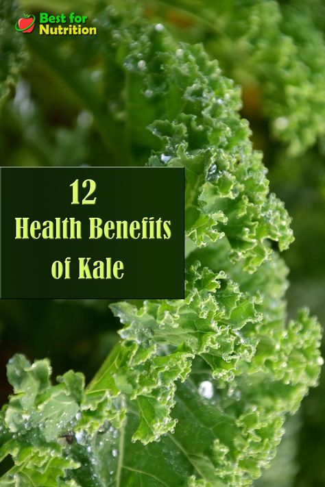 Health Benefits Of Kale, Benefits Of Kale, Kale Benefits, Kale Benefits Health, Flowering Kale, Healthy Fruits And Vegetables, Food Health Benefits, Leafy Vegetables, Holistic Wellness