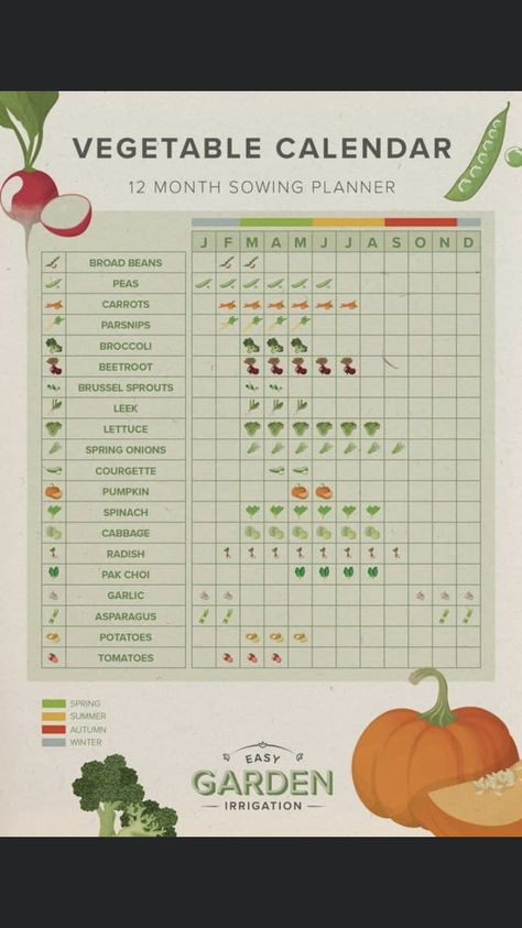 Vegetable Calendar, Vegetable Planting Calendar, Growing Calendar, Vegetable Planting Guide, Garden Party Recipes, Vegetable Planting, Asparagus Plant, Garden Bed Layout, When To Plant Vegetables