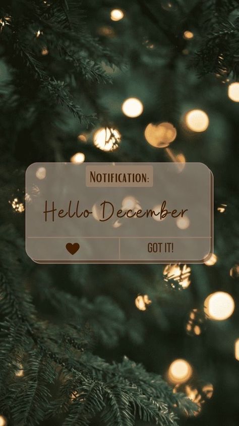 Christmas Month Quotes, Merry Christmas Iphone Wallpaper, Hello December Wallpaper Aesthetic, Happy Christmas Aesthetic, Quotes Aesthetic Pictures, December Video, Hello December Pictures, Elf On The Shelf Easy, Positive Quotes Aesthetic