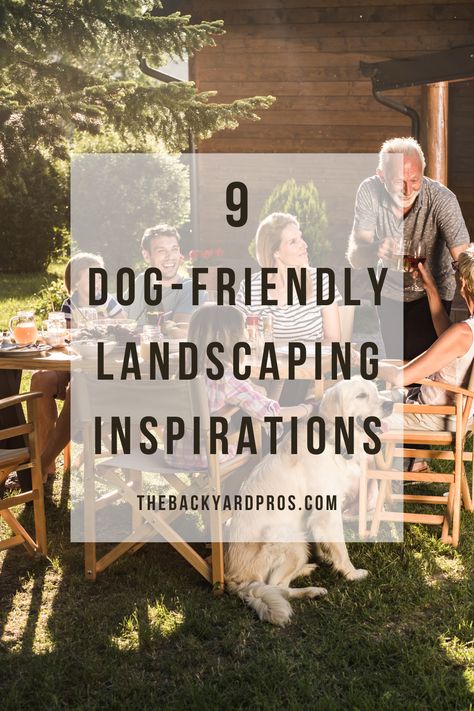 Make the most of your outdoor space with these 9 dog-friendly landscaping ideas! From grassy areas for romping to cozy corners for relaxation, this pin has everything you need to create a backyard oasis for your furry companion. Backyard Idea For Dogs, Small Dog Friendly Backyard, Backyard Landscape With Dogs, Dogs Backyard Ideas, Doggie Backyard Ideas, Small Yard Ideas For Dogs, Pet Friendly Garden Ideas, Backyard Dog Area Ideas Diy, Backyard Dog Run Ideas Design