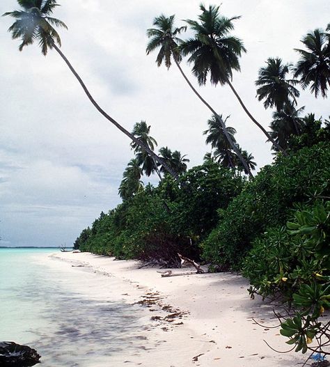 Robinson Crusoe Aesthetic, Stranded Island Aesthetic, Remote Island Aesthetic, Desert Island Aesthetic, Stuck On A Deserted Island Aesthetic, Castaway Aesthetic, Journalling Pictures, Stranded On An Island Aesthetic, Deserted Island Aesthetic