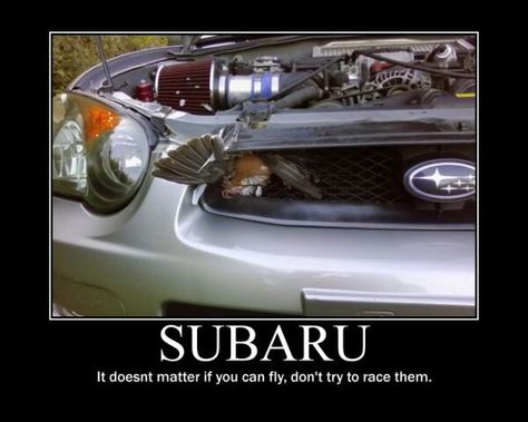 Nope never try it Car Humor Funny, Subaru Meme, Deadpool Funny, Car Jokes, Japanese Domestic Market, Demotivational Posters, Funny Pix, Car Memes, Dating Girls