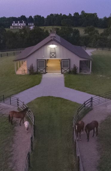 Pasture Shelter, Luxury Horse Barns, Horse Stables Design, Dream Environment, Equestrian Barns, Horse Farm Ideas, Equestrian Building, Morton Building, Horse Barn Designs